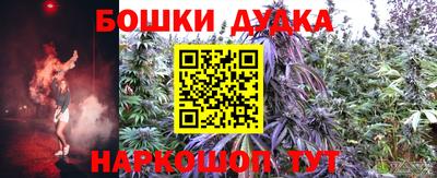 МДПВ Новозыбков