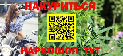 МДПВ Новозыбков