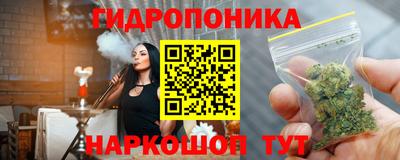 МДПВ Новозыбков