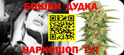 МДПВ Новозыбков