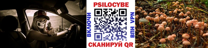 купить   Урус-Мартан  Галлюциногенные грибы GOLDEN TEACHER 