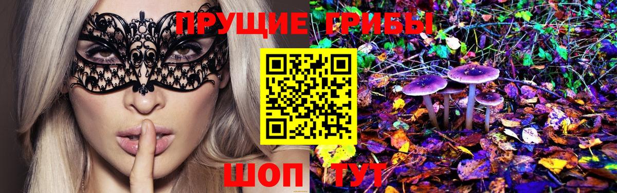 купить   Вход с VPN  Урус-Мартан  Псилоцибиновые грибы GOLDEN TEACHER 